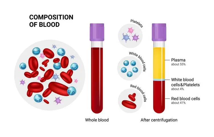 PRP Injection, Injecting the Source of Not Old into the Skin